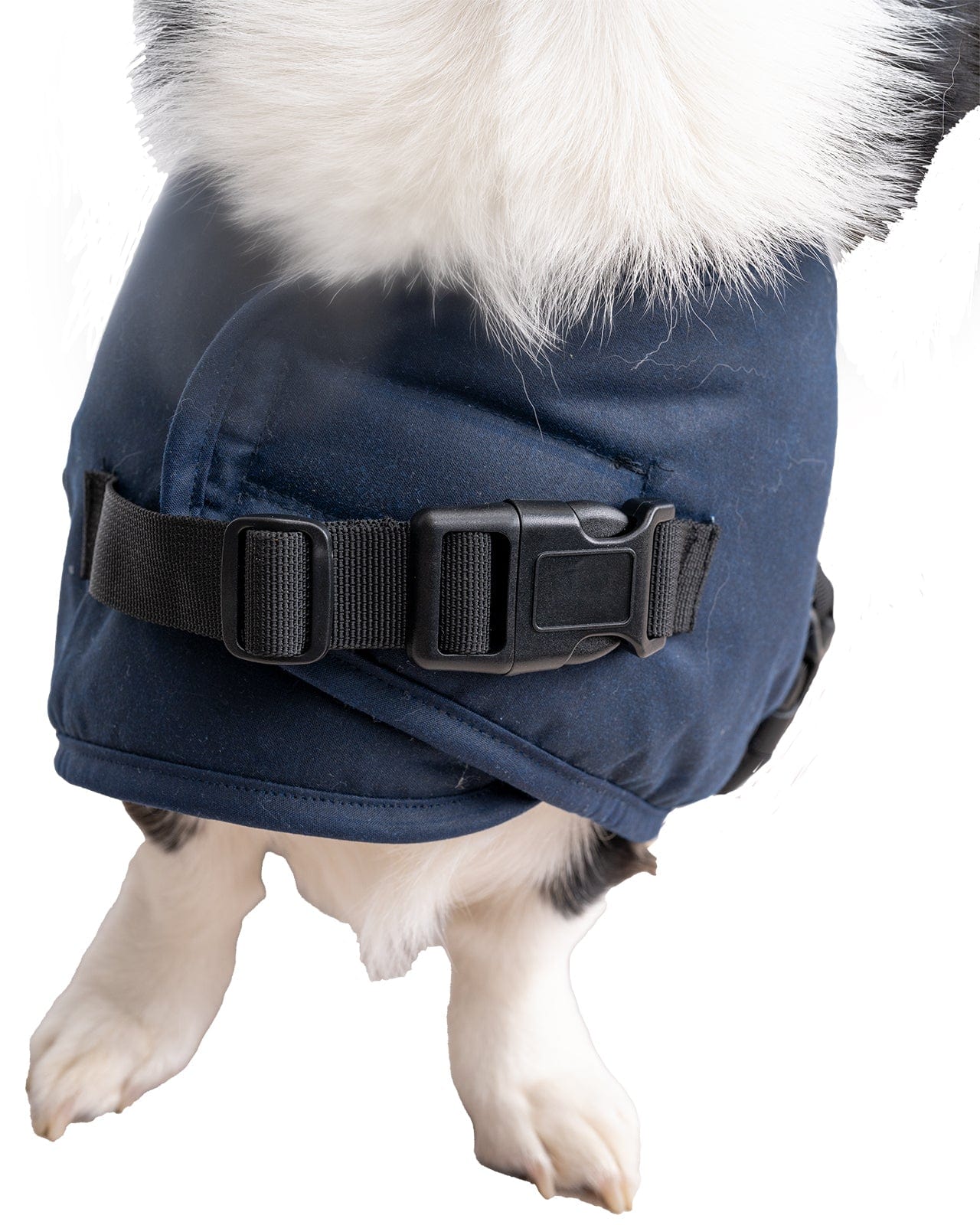 Clancy Oilskin Canine Coat