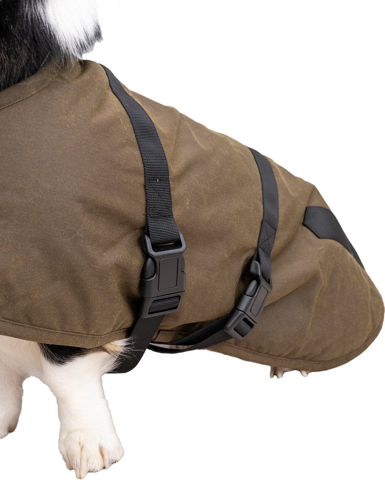 Clancy Oilskin Canine Coat
