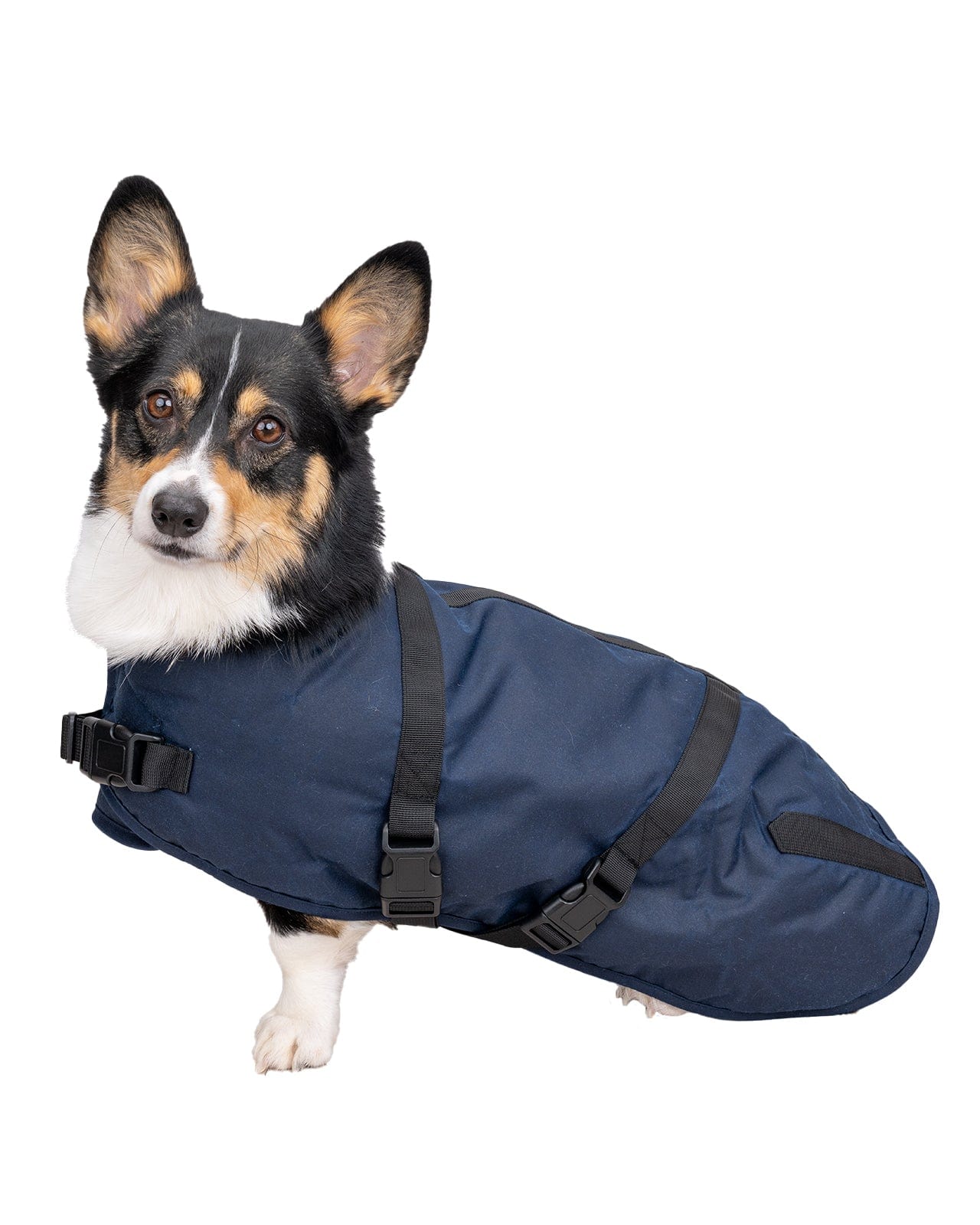 Clancy Oilskin Canine Coat