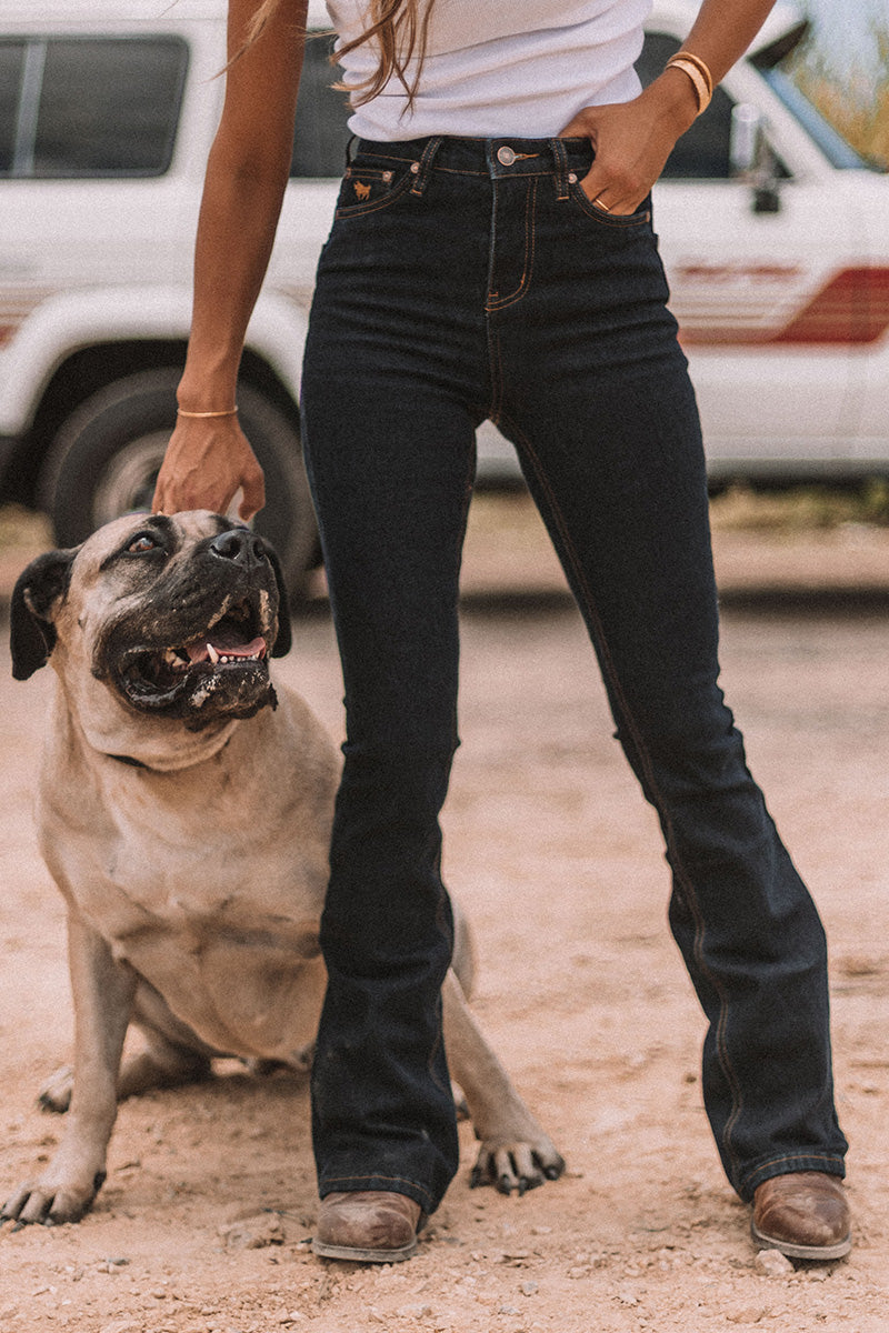 Penny Womens High Rise Bootleg Jean