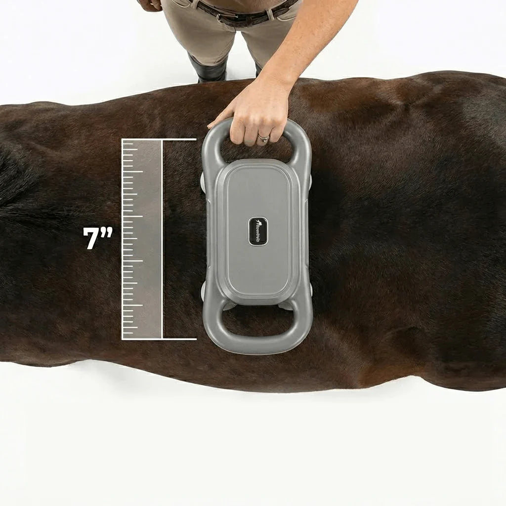 Horse Hal 8 Heads Red Light Massage Gun