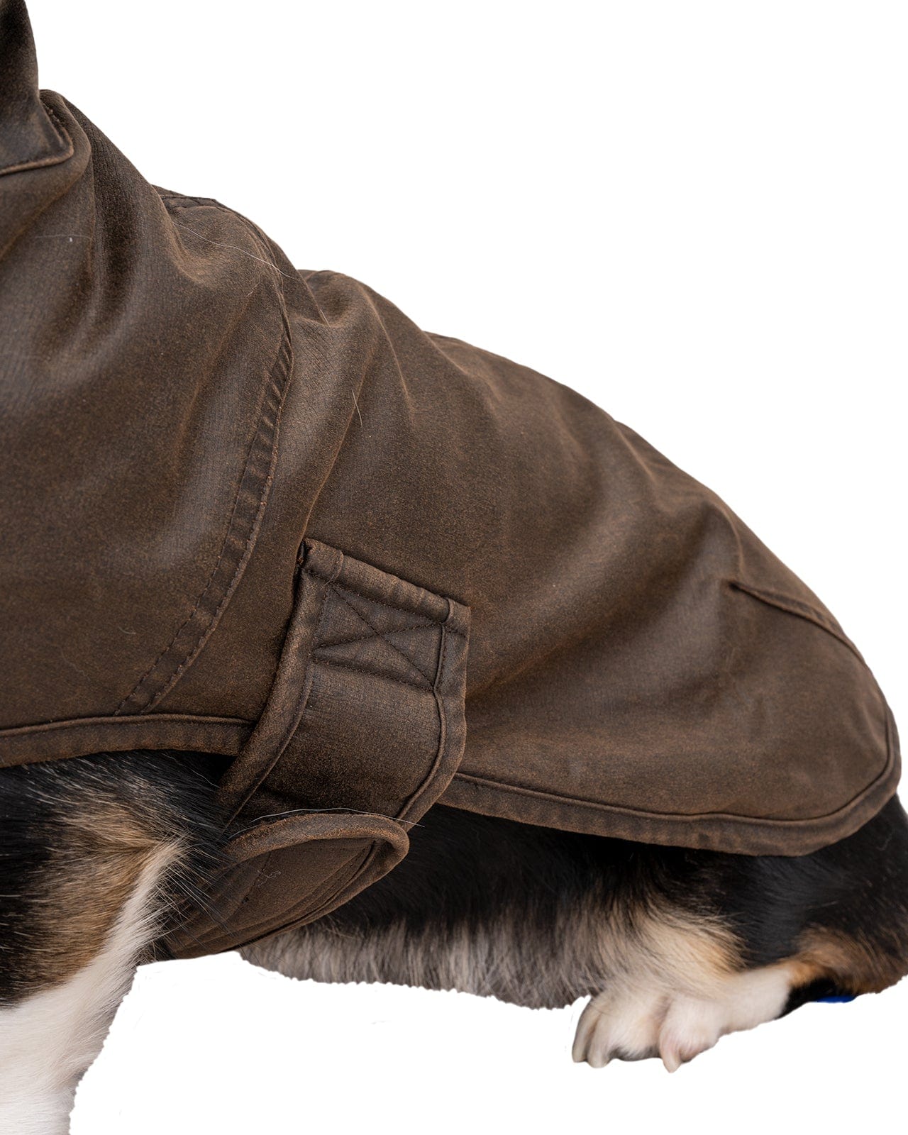 Marty Canine Coat