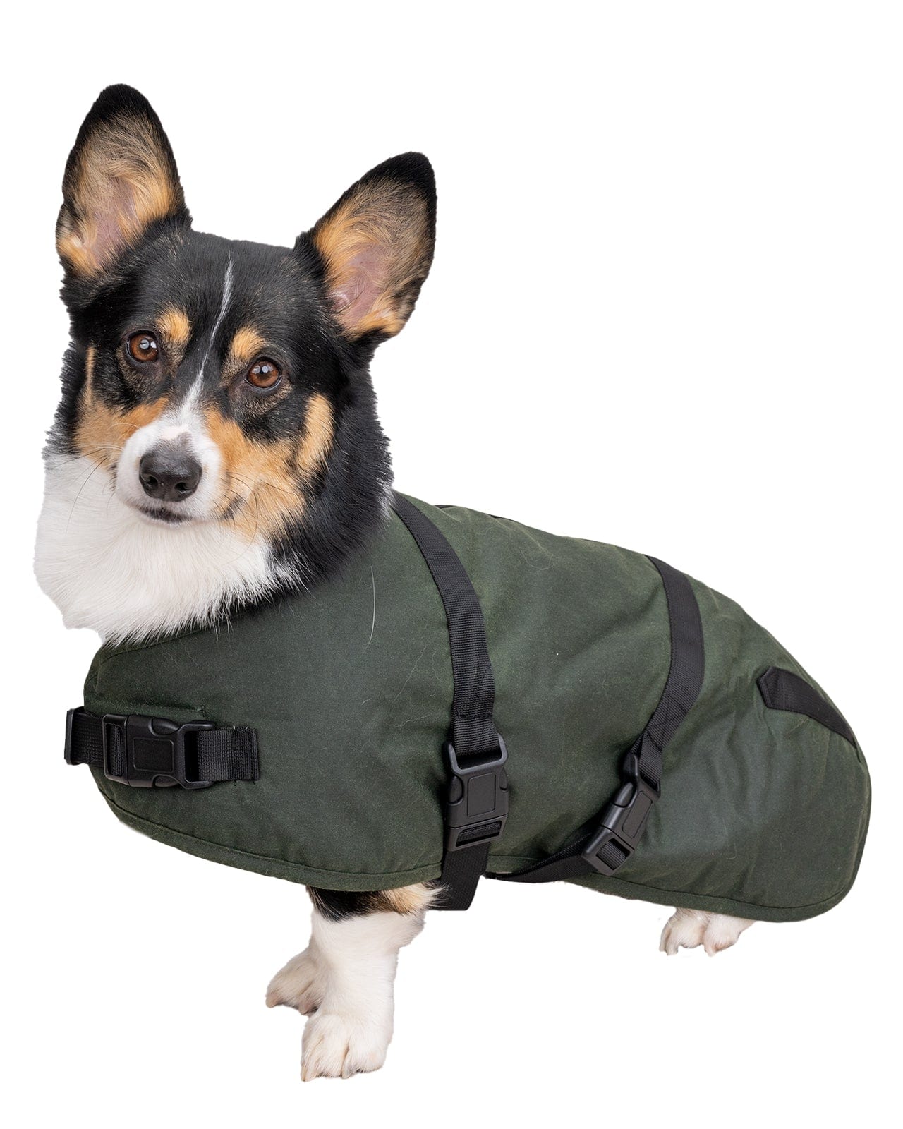 Clancy Oilskin Canine Coat