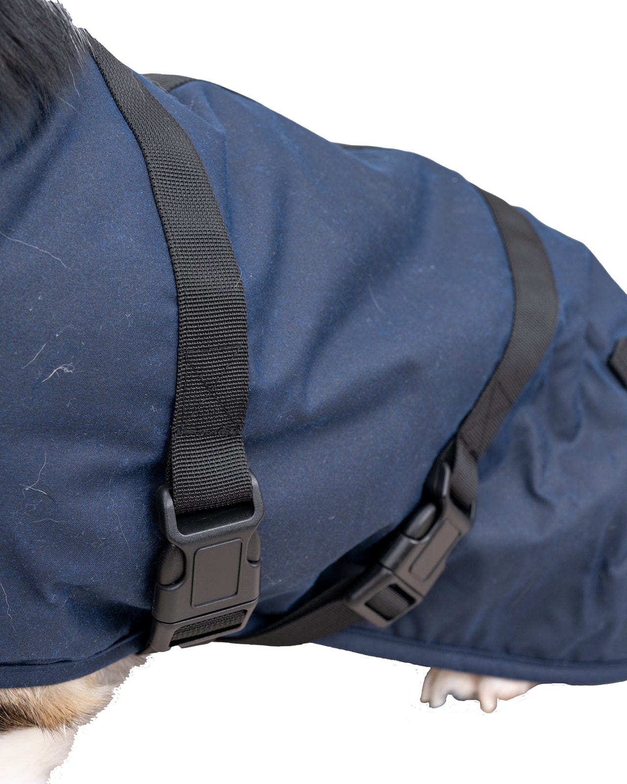 Clancy Oilskin Canine Coat