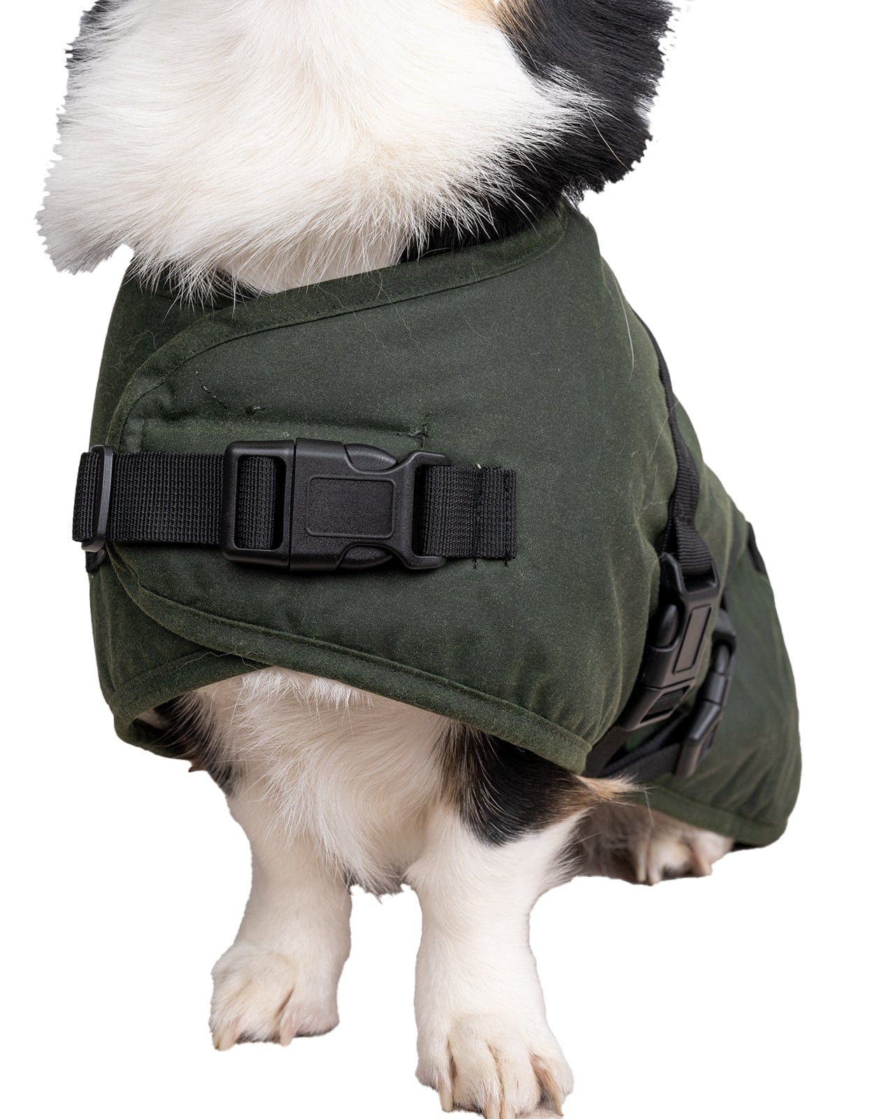 Clancy Oilskin Canine Coat