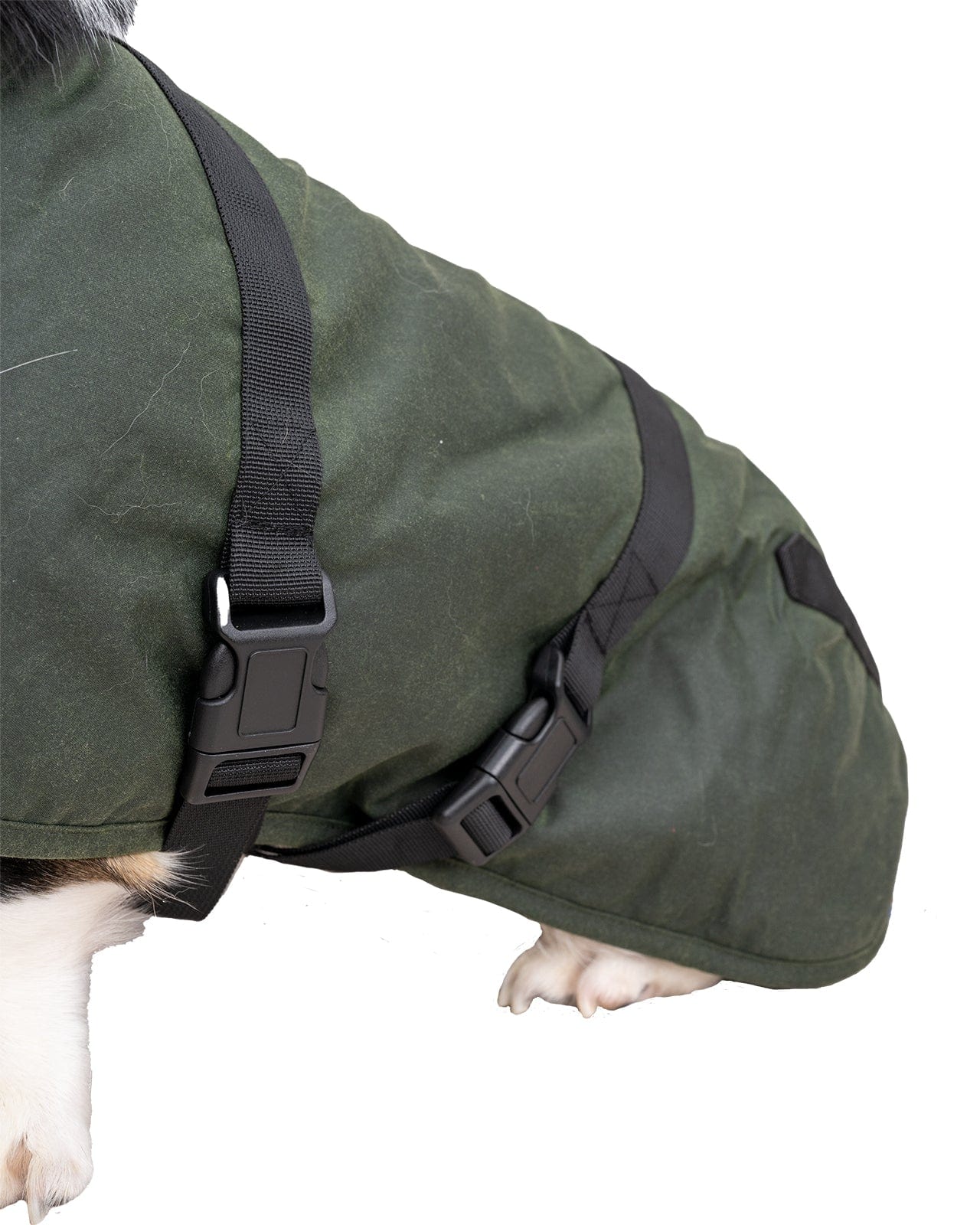 Clancy Oilskin Canine Coat
