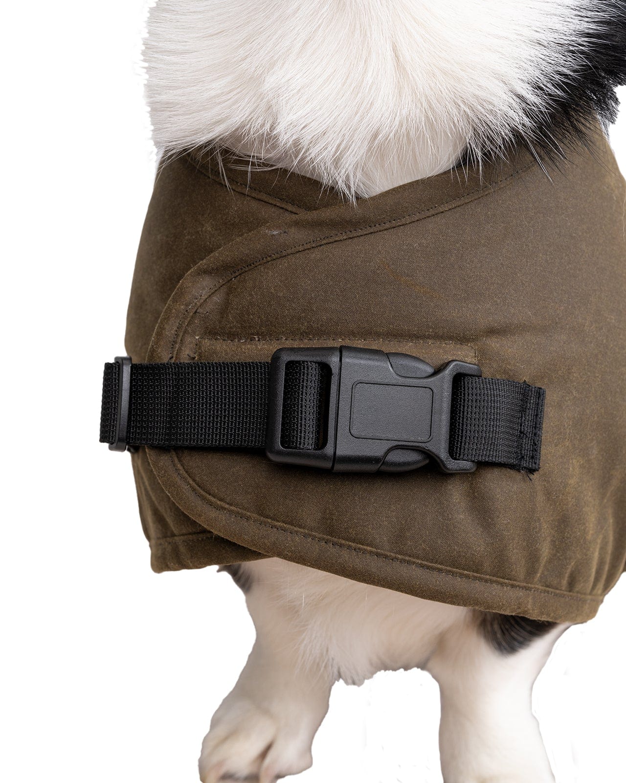 Clancy Oilskin Canine Coat
